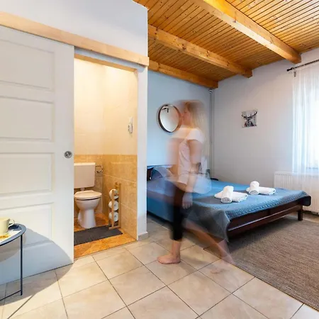 Fiesta Balaton * Балатонсарсо