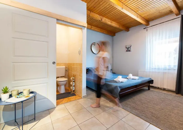 Fiesta Balaton * Balatonszarszo